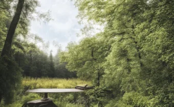 Discover the Magic of Nature and Make Time for Yourself in a Retreat Setting