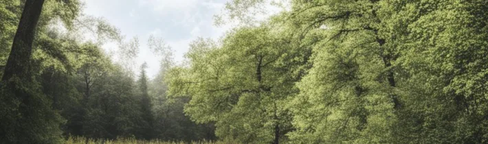 Discover the Magic of Nature and Make Time for Yourself in a Retreat Setting