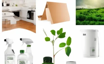 Eco-Friendly Options