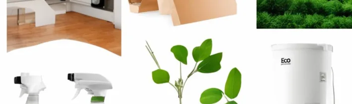 Eco-Friendly Options