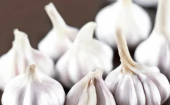 Raw Garlic Cloves Point