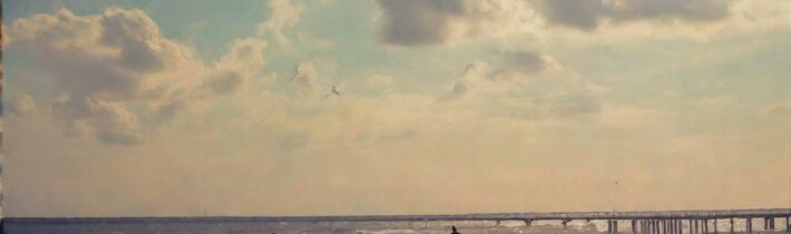 She Recovers Long Island Events