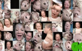 The First Trimester in GIFs