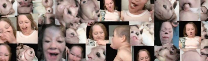 The First Trimester in GIFs