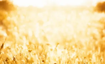 95+ Gratitude Exercises to Bring More Thankfulness & Joy