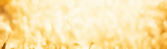 95+ Gratitude Exercises to Bring More Thankfulness & Joy