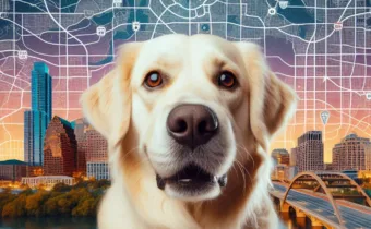 Austin Travel Guide: Dog-Friendly Map With Castor & Pollux