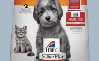 Hill’s Science Plan Puppy Food Review: Healthy Eating for Your Dog