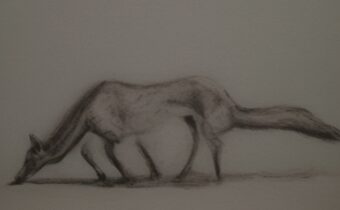 10 Home Remedies for Constipation