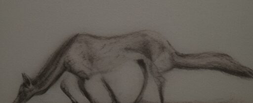 10 Home Remedies for Constipation