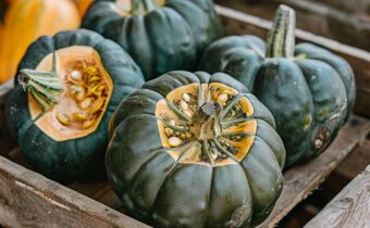 Acorn Squash Nutrition Facts and Health Benefits