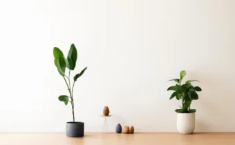 Core Values of Minimalism