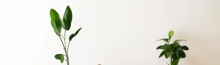 Core Values of Minimalism