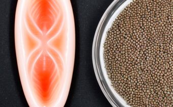The 3 Surprising Beauty Benefits of Omega-3s
