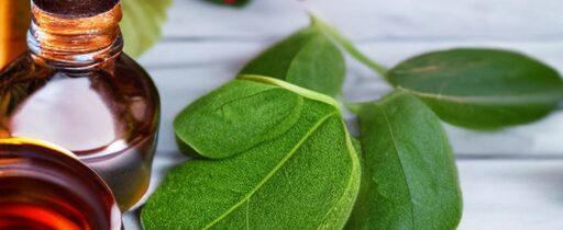 The Skin Care Ingredient Index