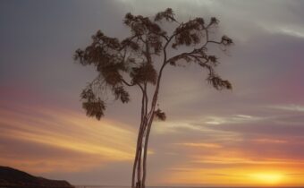 What Reasons Would You Need a Blood Test For?