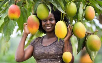 African Mango for Weight Loss