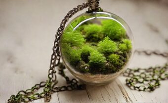 Chic Moss Plant Necklaces You Can Wear
