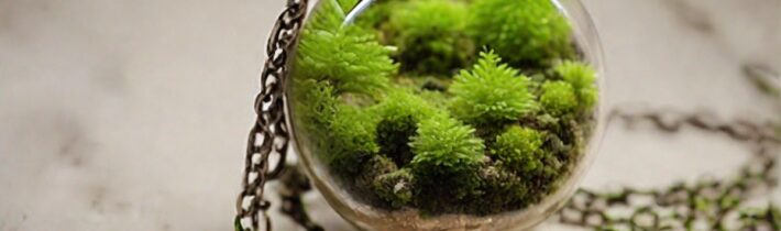 Chic Moss Plant Necklaces You Can Wear