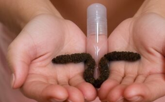 Could this Ayurvedic remedy actually be a natural spermicide? We asked an OB-GYN