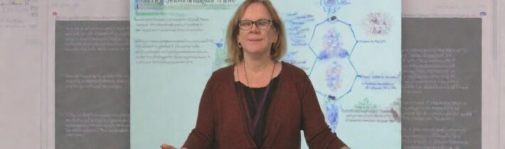 Healing Systemic Trauma through a Somatic Approach Geri Laurence