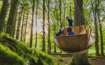 UK Forest Holidays: Your Guide to Embracing Nature’s Playground