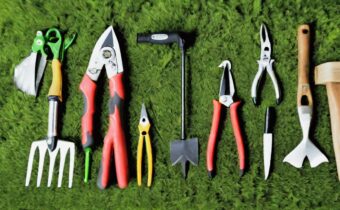 Essential Gardening Tools for a Thriving Garden