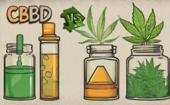 THC vs CBD: Which Is Better for Beginners?
