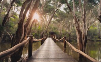 Wellness Tourism in Australia: Embracing Mindfulness and Nature