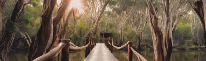 Wellness Tourism in Australia: Embracing Mindfulness and Nature