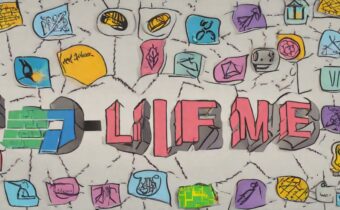 What are Life Domains?