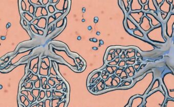 Dopamine vs. Serotonin: Understanding the Key Differences