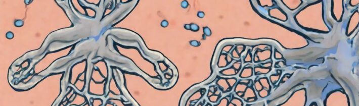 Dopamine Vs Serotonin Understanding Key Differences For Wellbeing