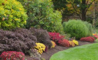 Fall Garden Cleanup: Essential Tips for a Thriving Outdoor Space