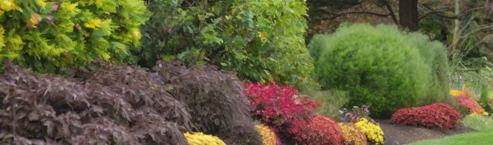 Fall Garden Cleanup: Essential Tips for a Thriving Outdoor Space