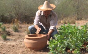 How to Make an Olla: The Ancient Irrigation Technique