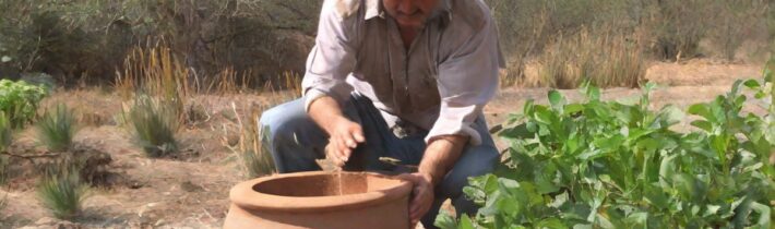 How to Make an Olla: The Ancient Irrigation Technique
