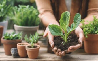 Nurturing Relationships with Plants and People: The Benefits of Gardening