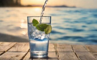 Staying Hydrated: The Importance of Drinking Water in Summer