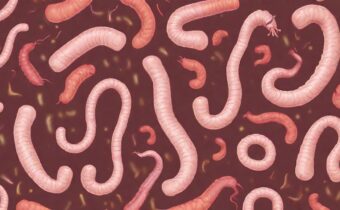 Stomach Worms: The Gut Health Issue You Need to Know About