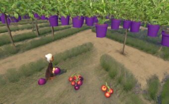 A Visit to the Enchanting Plumcot Farm