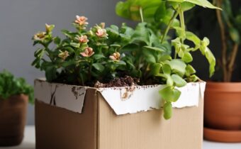 An Easy DIY Planter Upcycled from a Cardboard Box
