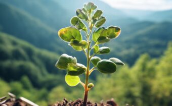 Cultivating Psychological Flexibility for a More Fulfilling Life