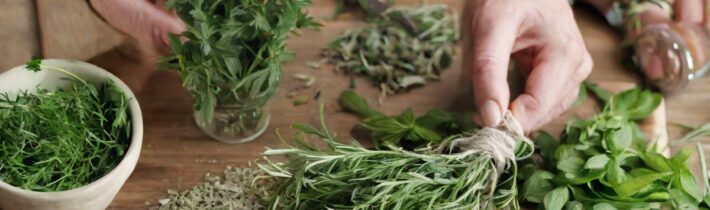 How to Dry Fresh Herbs for Long-Lasting Flavor