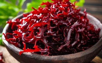 The Potential Benefits of Red Seaweed for Health