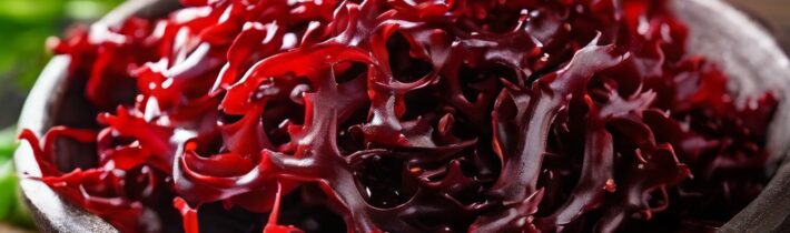 The Potential Benefits of Red Seaweed for Health