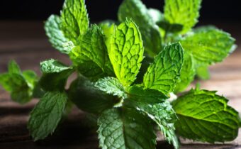 The Surprising Health Benefits of Mint, According to Nutritionists