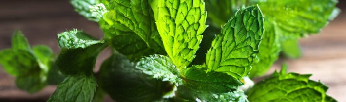 The Surprising Health Benefits of Mint, According to Nutritionists