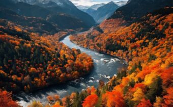 Best Destinations to Witness Stunning Fall Foliage Around the World