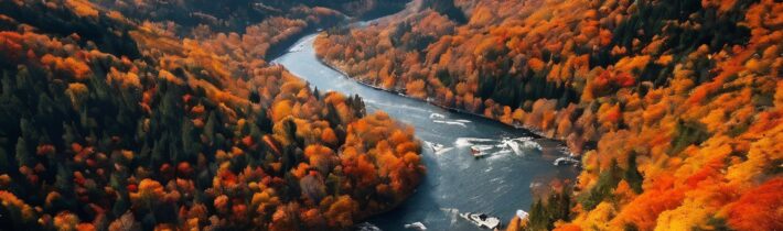 Best Destinations to Witness Stunning Fall Foliage Around the World